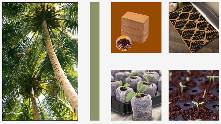 Coir Product