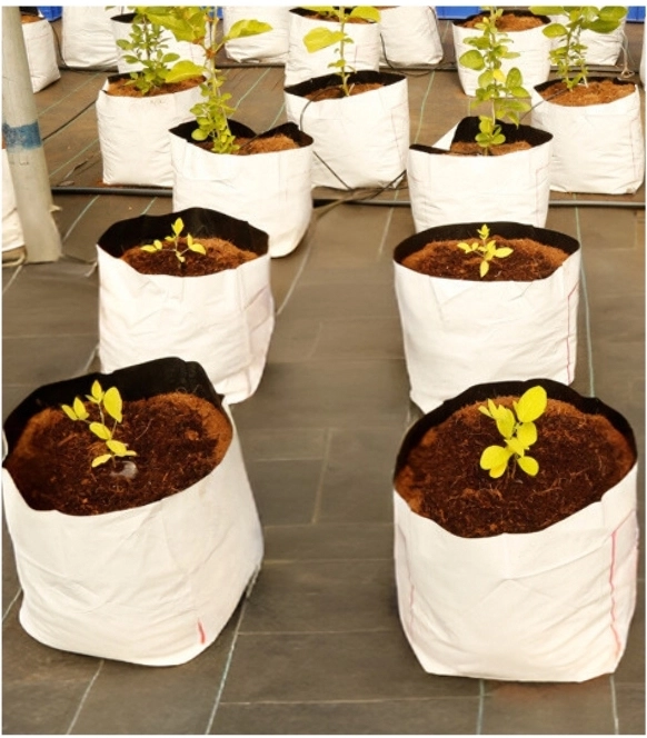 Coir Grow Bags Exporting