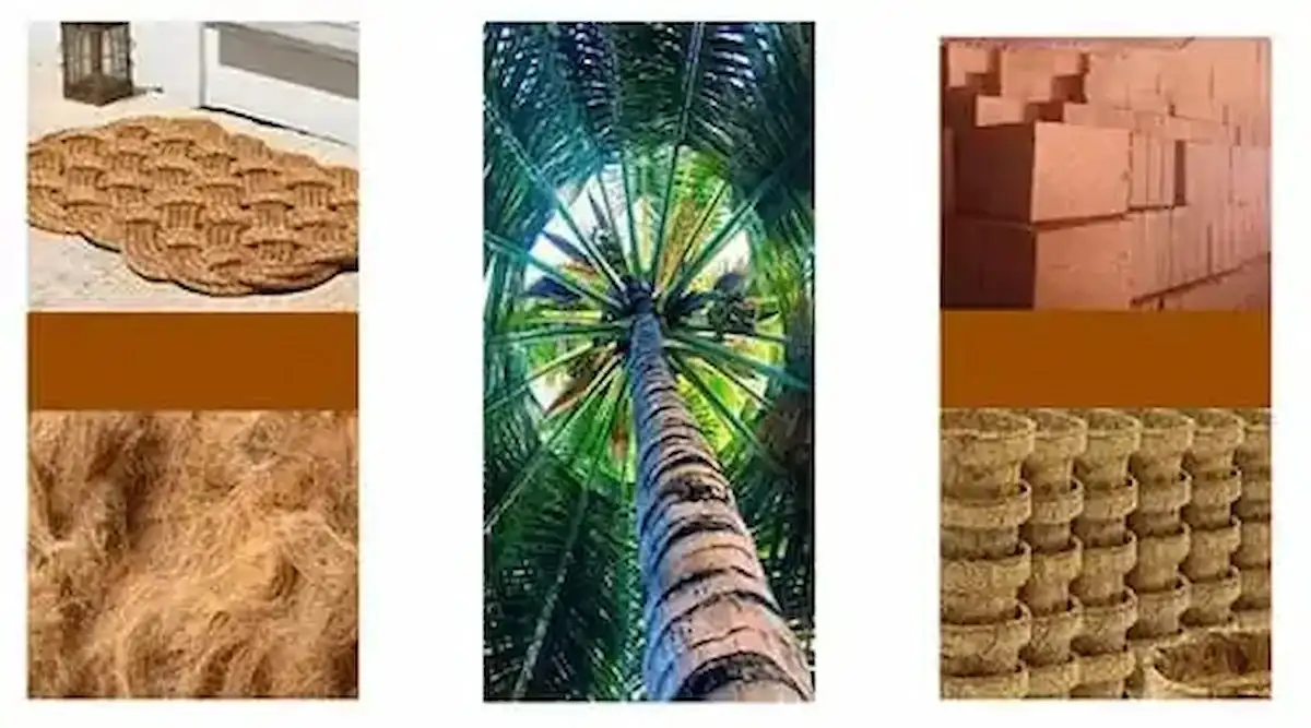 Organic Cocopeat Grow Bag Export Banner - ARCHA International