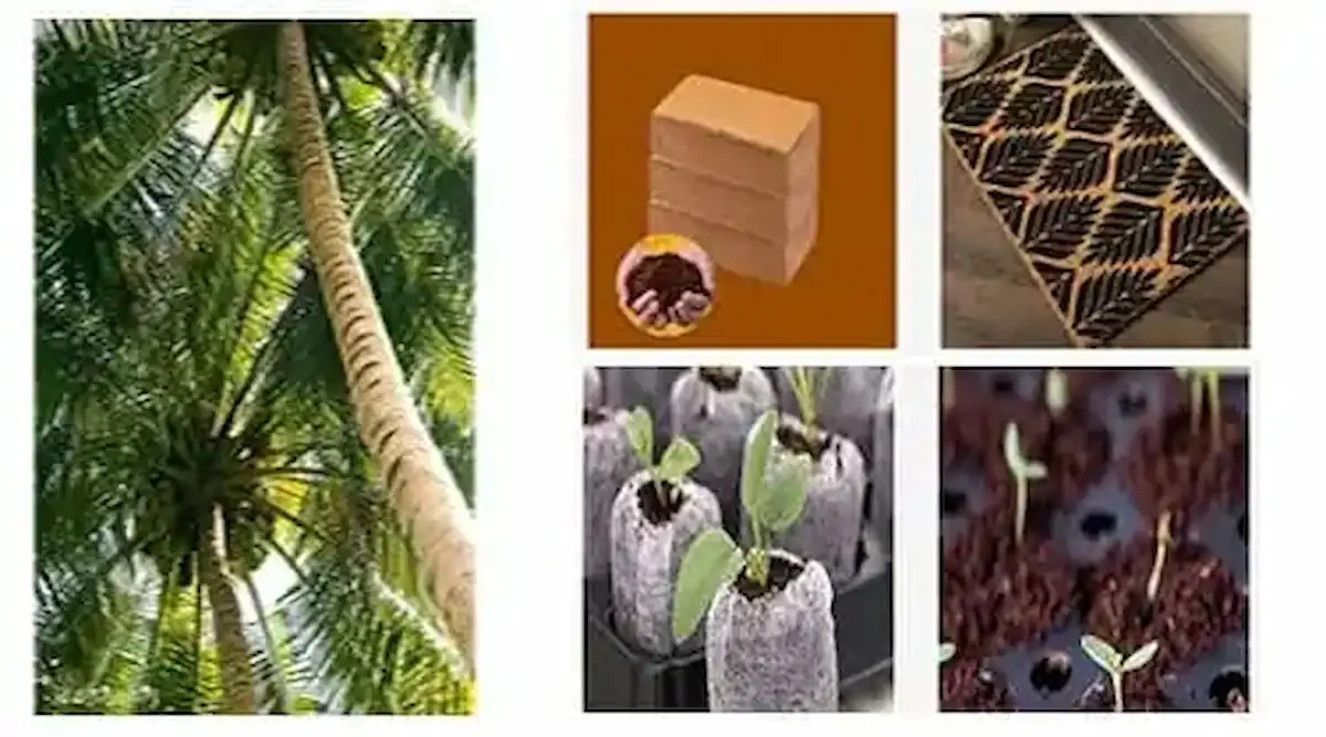 Eco-Friendly Coir Products Export Banner - ARCHA International