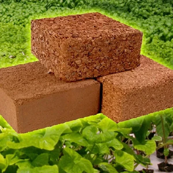 Compressed Cocopeat Brick Exporter
