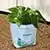 Grow Bag