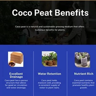 Cocopeat Benefits - Excellent Drainage, Water Retention, Nutrient-Rich