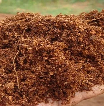 Low EC Compact Cocopeat Brick for Clean Growing Environments
