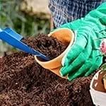 Cocopeat Seeding Tray