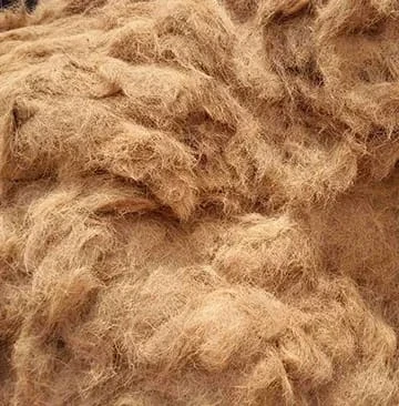 Long Coir Fibre Export to China for Brushes and Mattresses
