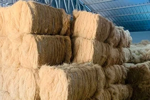 Premium Coir Fibre Exporter for Global Supply